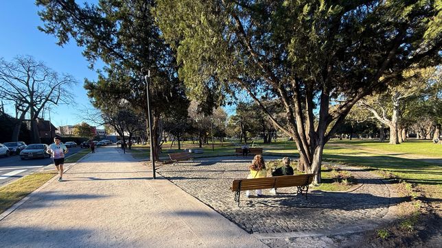 con nuevos senderos, luces y forestacion, asi luce el parque san martin tras la primera etapa de restauracion