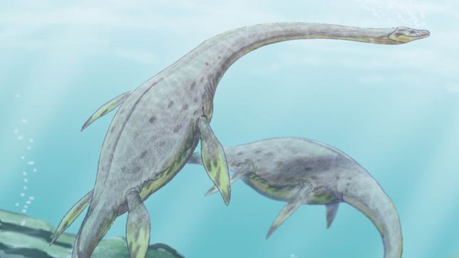 cientificos de la plata hallaron en la antartida un reptil similar al monstruo del lago ness