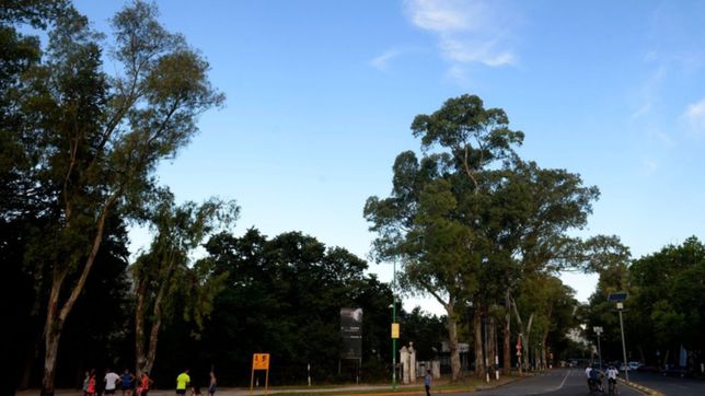 robo, choque y detenidos, tras una persecucion de pelicula en el bosque platense