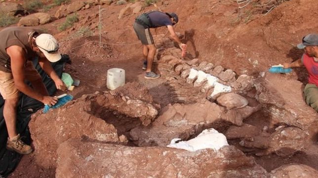 un cientifico de la plata, detras del hallazgo de un dinosaurio gigante en neuquen