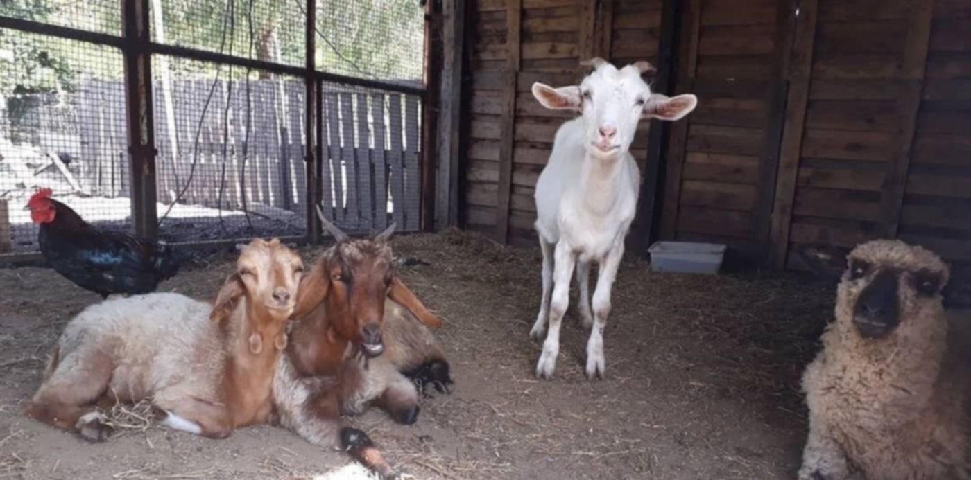 1557153289284.jpg?&cw=1920&ch=950