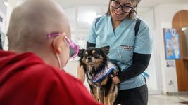 cronica de un dia con ari, el perro que sobrevivio a la guerra y asiste a pacientes del hospital de ninos cronica de un dia con ari, el perro que sobrevivio a la guerra y asiste a pacientes del hospital de ninos