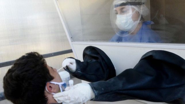 se ameseta el ritmo de los contagios de coronavirus en la plata despues de cuatro semanas