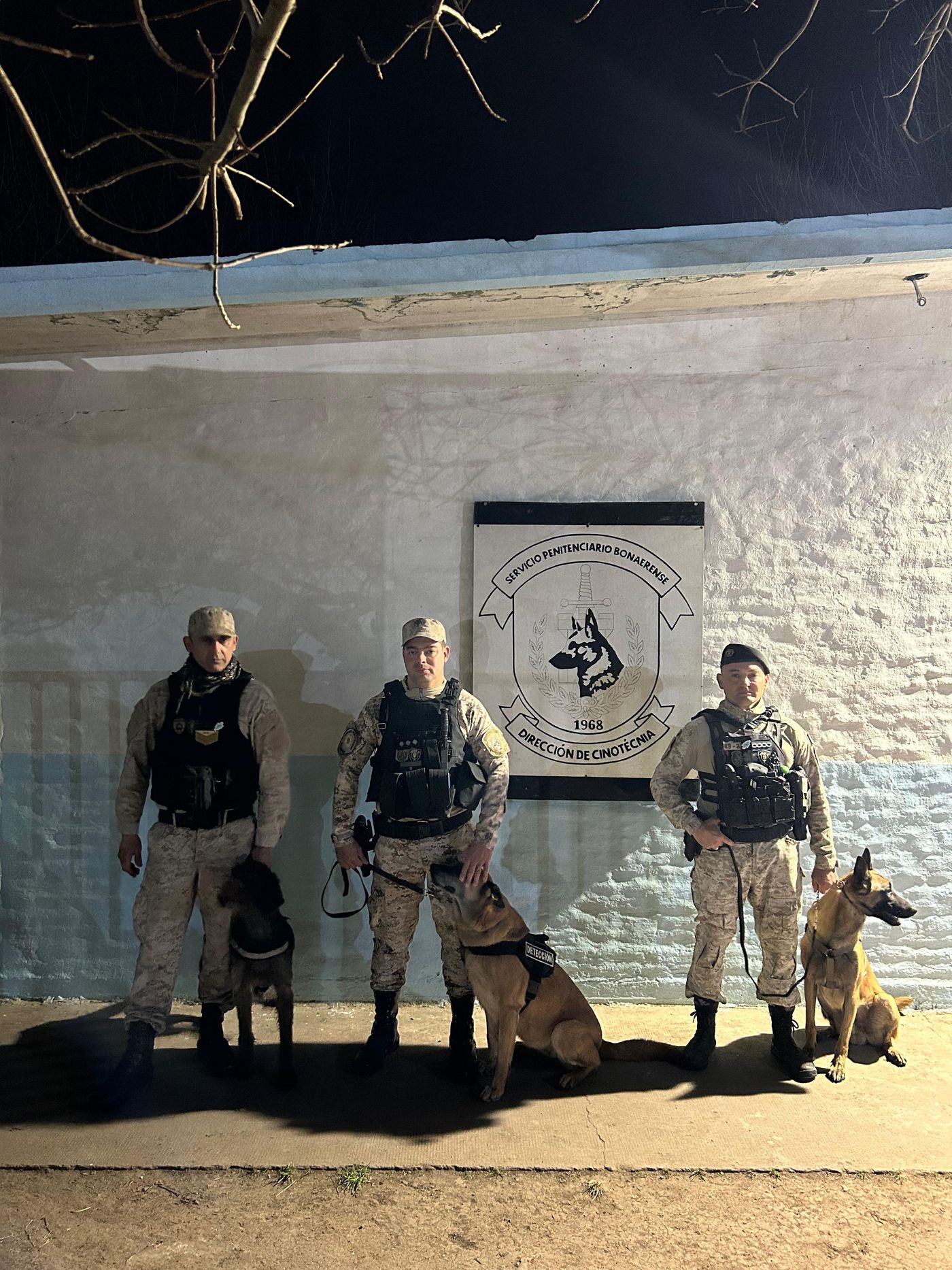 Izel, Cairo y Runa, los tres perros del Servicio Penitenciario Bonaerense que viajaron a Corrientes para ayudar en la búsqueda de Loan.