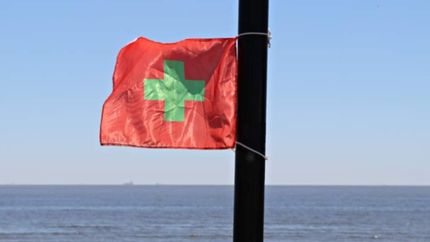 Sigue el alerta en las playas de la región por cianobacterias en el Río de la Plata