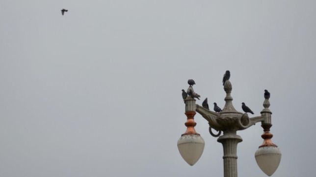 lunes gris, en la previa de una seguidilla de dias de lluvia en la plata