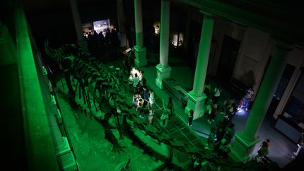 Se viene una nueva edición de Museos a la luz de la Luna con casi 50 propuestas
