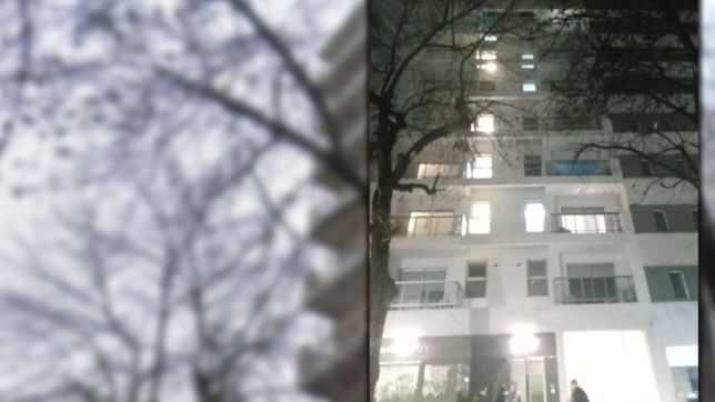 conmocion en el centro de la plata: un joven se arrojo desde la terraza de un edificio