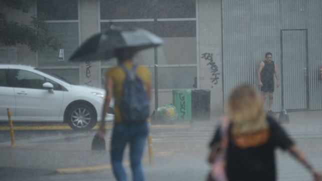 alerta meteorologico en la provincia: ¿cuando llegara la tormenta a la plata?
