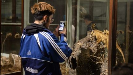 La guía completa para recorrer los Museos a la luz de la Luna