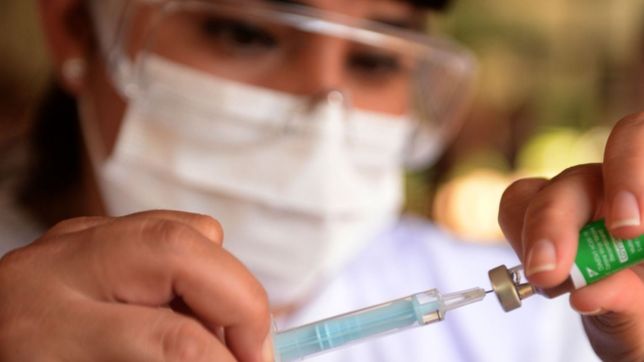 ya se puede seguir de forma online la cantidad de dosis aplicadas contra el coronavirus