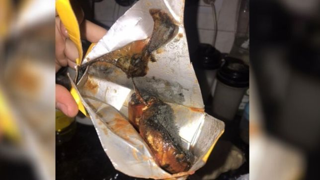 video: encontraron una rata muerta dentro de una caja de pure de tomates molto