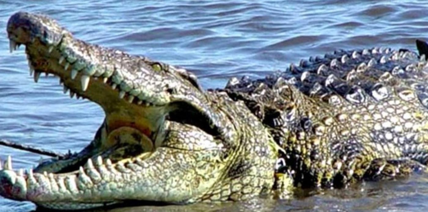 1630598192421.jpg?x=7&y=58&width=758&height=379&rotate=0&scaleX=1&scaleY=1&ow=768&oh=512&&cw=1920&ch=950