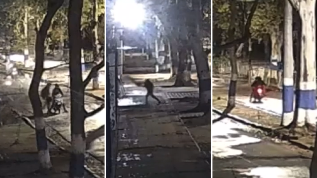 el video del momento en el que vandalizaron el mural de diego maradona en el bosque