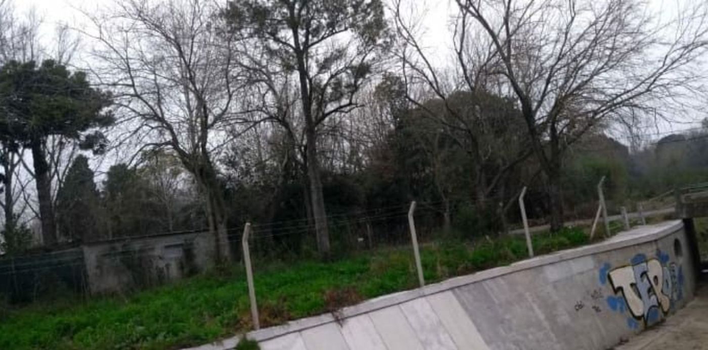 1597073418404.jpg?x=10&y=32&width=678&height=339&rotate=0&scaleX=1&scaleY=1&ow=697&oh=406&&cw=1920&ch=950