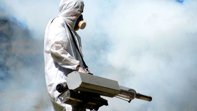 refuerzan la fumigacion tras la muerte de una mujer por encefalitis equina en la plata