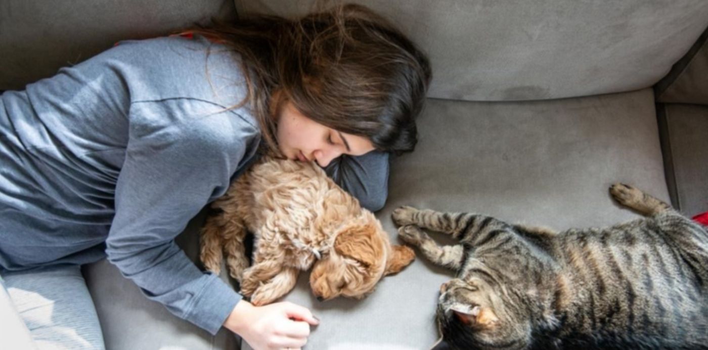 animales coronavirus