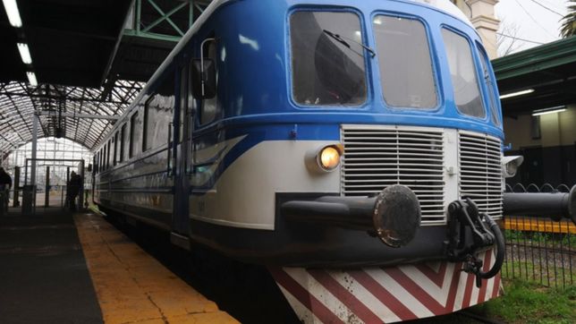 quiso escapar de un robo y murio atropellado por una formacion del tren roca