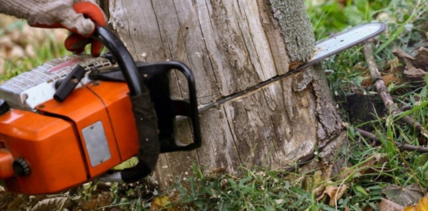 1589812726604.jpg?scaleY=1&x=5&rotate=0&scaleX=1&ow=1024&oh=682&y=136&width=1015&height=507&&cw=1920&ch=950