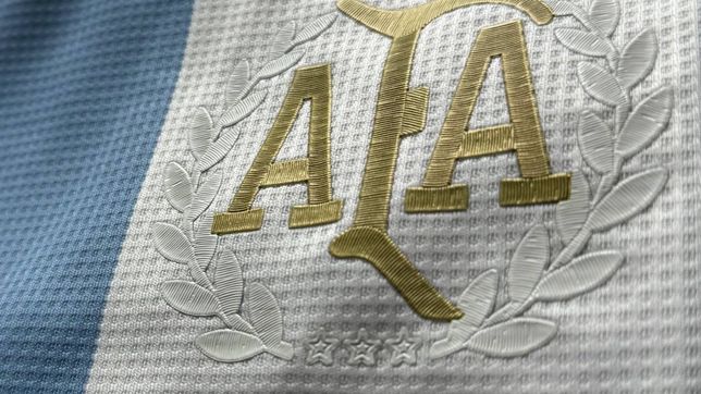 ¿cuanto sale y donde se podra comprar la camiseta de la seleccion argentina en la plata?