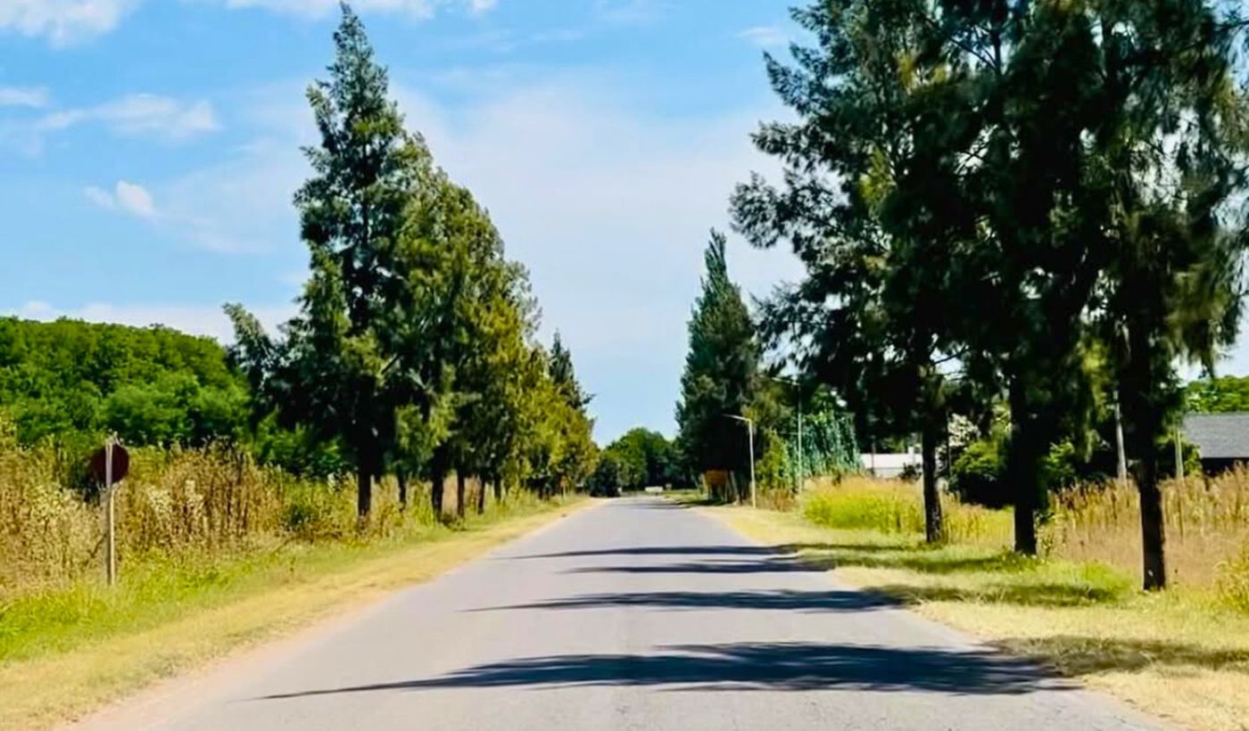 Foto portada (1).jpg