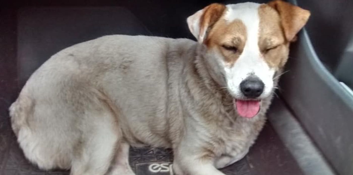 1551209928645.jpg?scaleY=1&ow=960&x=13&y=9&width=937&height=468&rotate=0&scaleX=1&oh=539&&cw=1920&ch=950