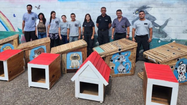 internos de una carcel platense construyeron y donaron 40 cuchas para perros de un refugio