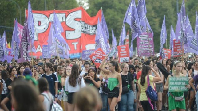 el #8m cerro en la plata con una multitudinaria marcha por el centro de la ciudad
