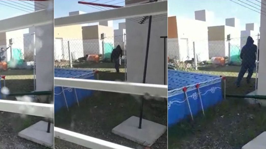 VIDEO: Entró a robar a la casa de su vecina en La Plata, ella lo descubrió y lo echó a los gritos