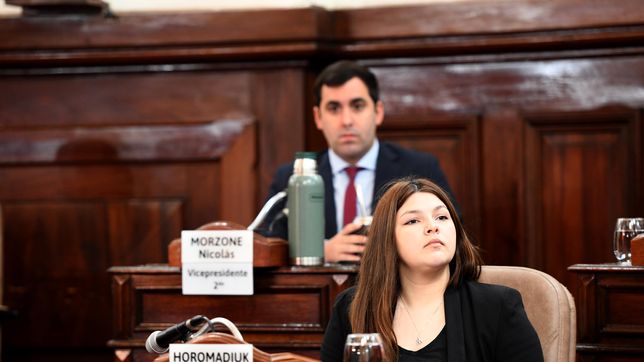 no puede pensarse el sistema de micros solo en funcion de subsidios