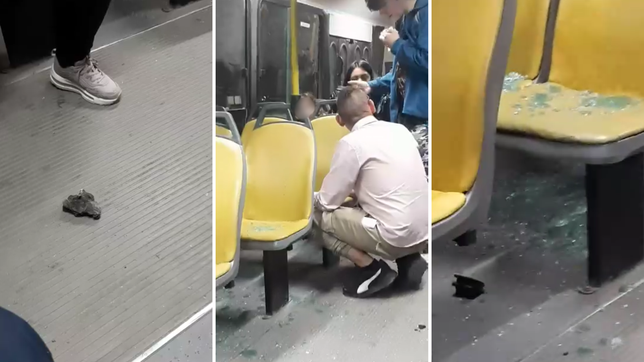 atacaron a piedrazos un micro que circulaba en la plata y un pasajero termino herido