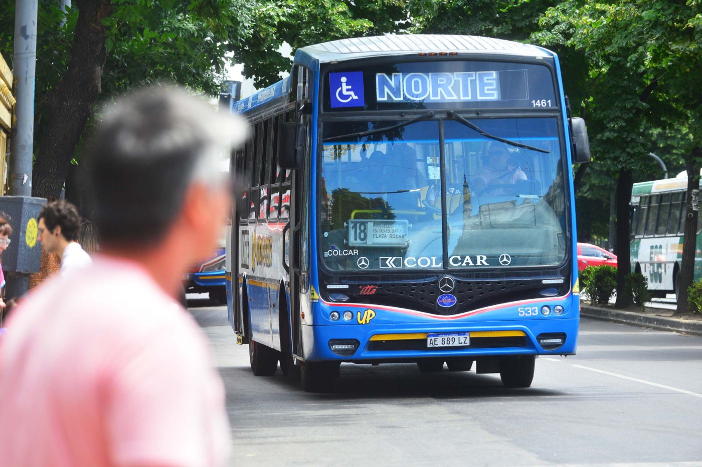 TaMicros colectivos.JPG