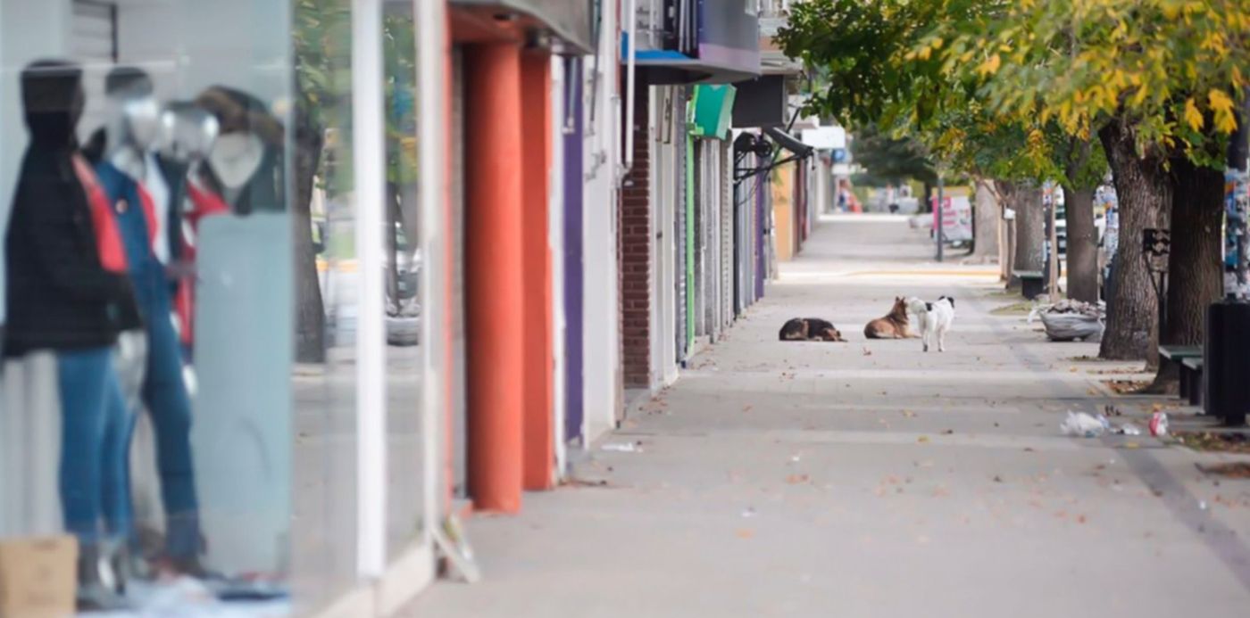 1525183574804.jpg?x=24&y=149&width=1466&height=733&rotate=0&scaleX=1&scaleY=1&ow=1500&oh=998&&cw=1920&ch=950