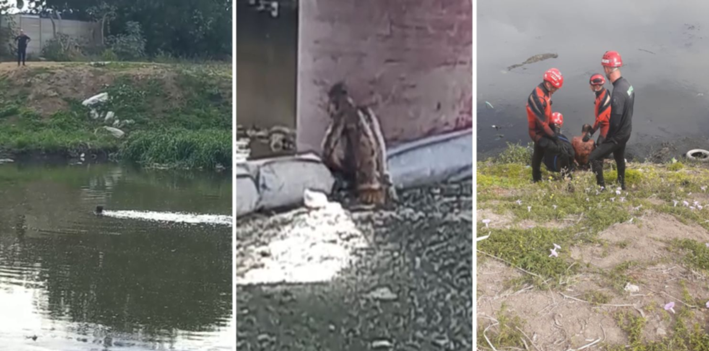 1673451105160.jpg?x=8&y=0&width=1484&height=742&rotate=0&scaleX=1&scaleY=1&ow=1500&oh=742&&cw=1920&ch=950