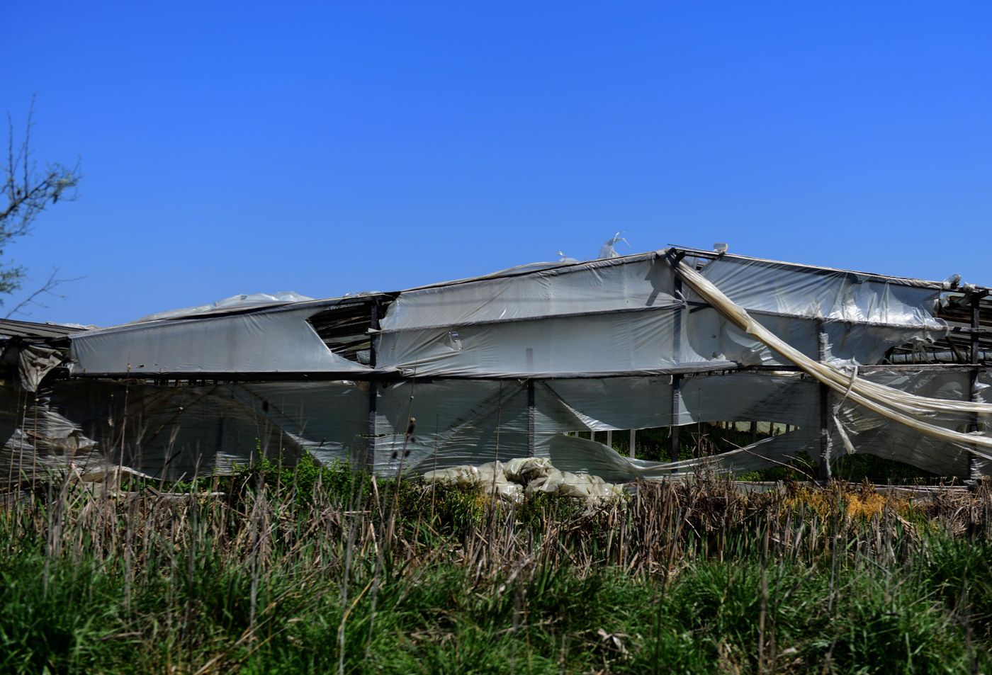 Cordón hortícola invernáculos invernaderos (6).jpg