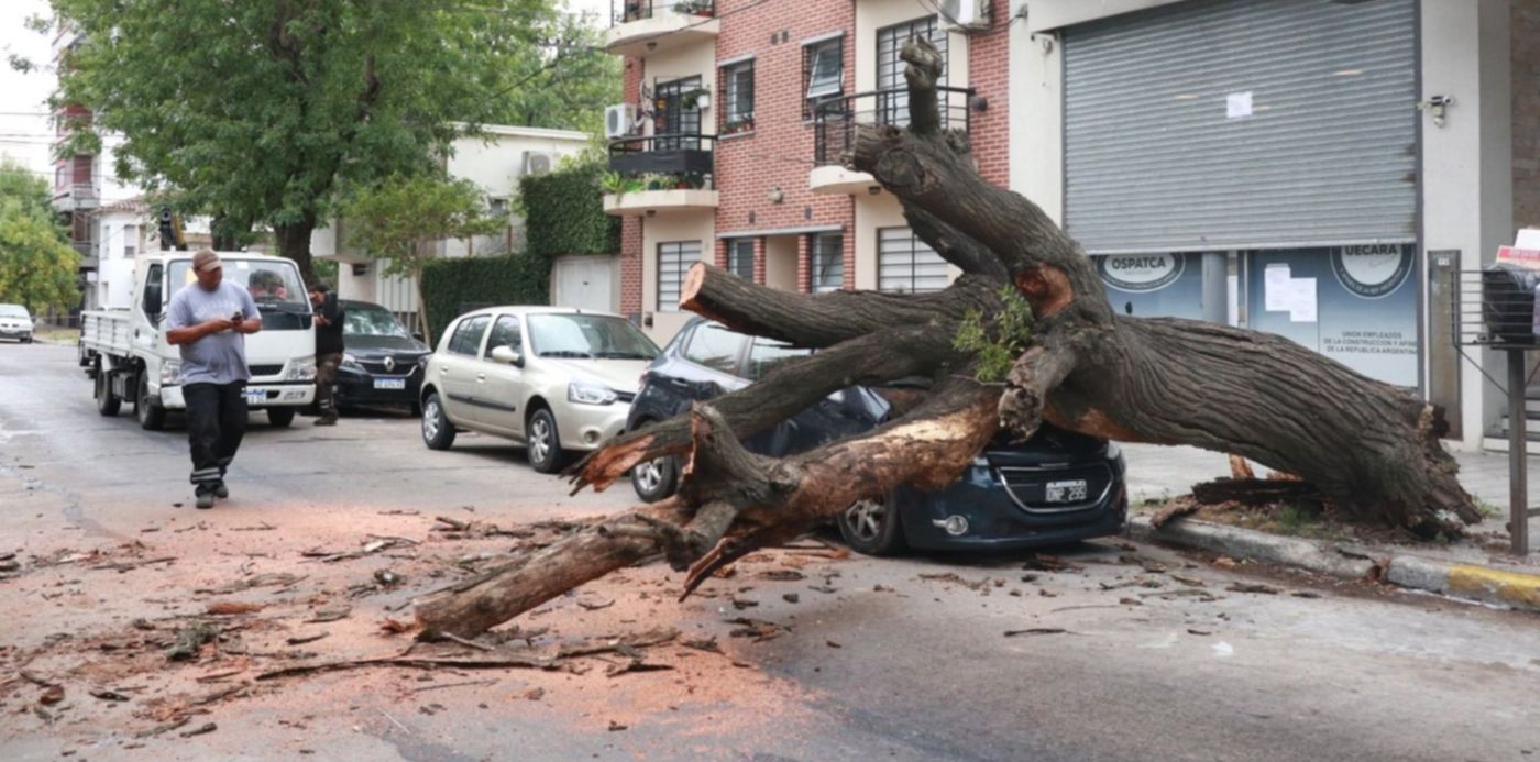 1642439402051.jpg?x=0&y=250&width=1500&height=750&rotate=0&scaleX=1&scaleY=1&ow=1500&oh=1000&&cw=1920&ch=950