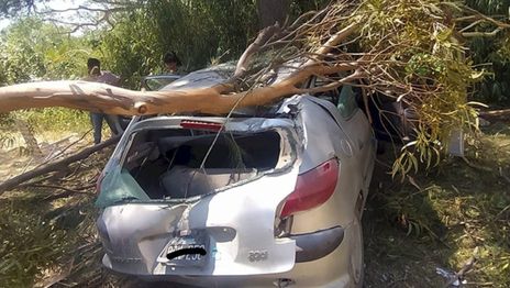 Peugeot Parque Pereyra