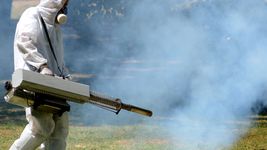 invasion de mosquitos en la plata: ¿como es el cronograma de fumigacion? invasion de mosquitos en la plata: ¿como es el cronograma de fumigacion?