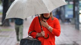 asi seguira el clima en la plata asi seguira el clima en la plata