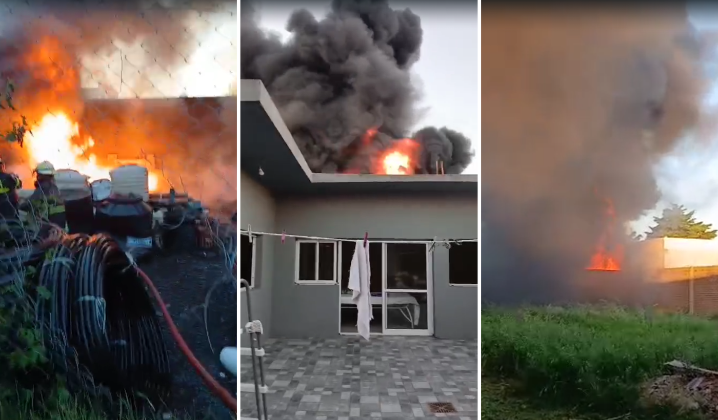 Diseño sin título (55)