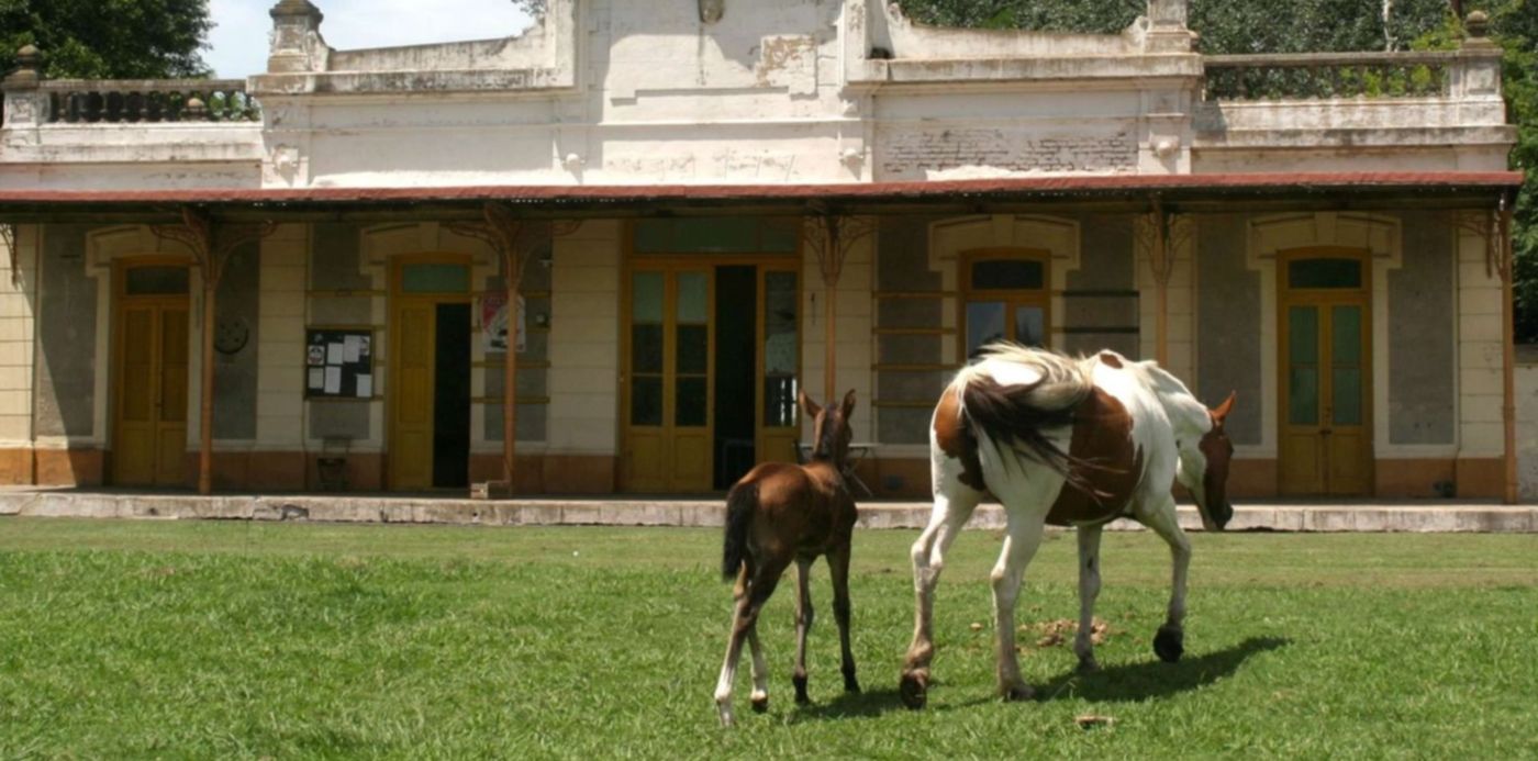 1680722272653.jpg?x=26&y=454&width=1470&height=735&rotate=0&scaleX=1&scaleY=1&ow=1500&oh=1285&&cw=1920&ch=950