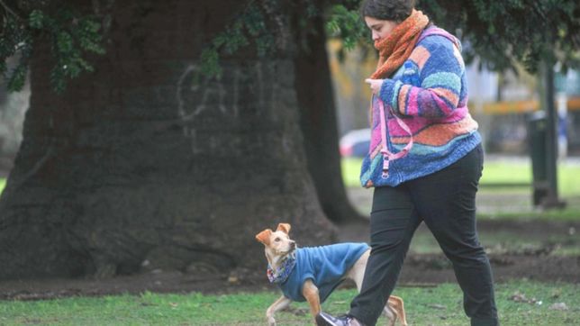 tras la tormenta que nunca fue, llega el frio y asi va a seguir el clima en la plata