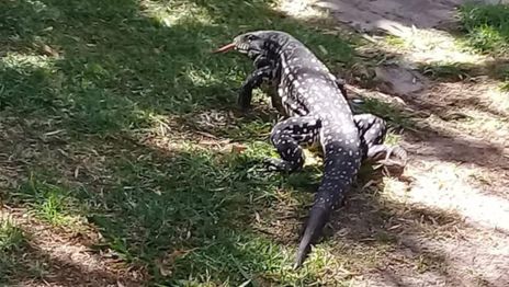 1542655672984.jpeg?width=1271&height=636&oh=720&ow=1280&x=3&y=34&rotate=0&scaleX=1&scaleY=1&&cw=1920&ch=950