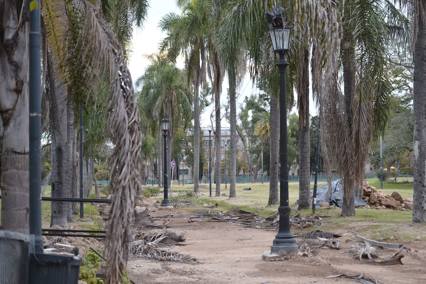 Obras en Parque Saavedra (6)