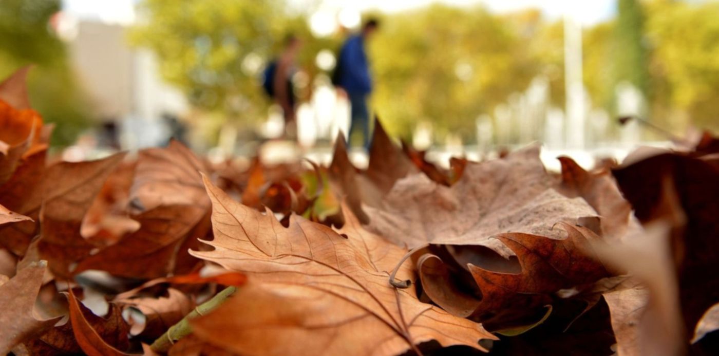 1557516590396.jpg?x=4&scaleX=1&oh=997&y=199&width=1492&height=746&rotate=0&scaleY=1&ow=1500&&cw=1920&ch=950