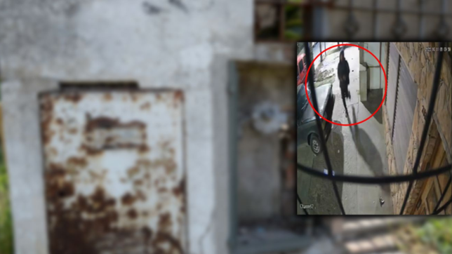 video: asi se robaron los canos de bronce de los medidores de gas en un barrio de la plata