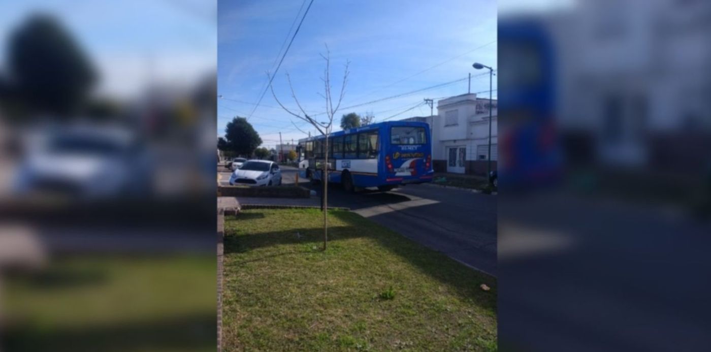 1559662505590.jpg?scaleX=1&x=34&width=1276&rotate=0&ow=1350&oh=650&y=4&height=638&scaleY=1&&cw=1920&ch=950