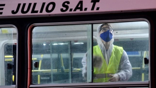 cuarentena: ¿cuales son los cambios que podria haber en el servicio de micros de la plata?