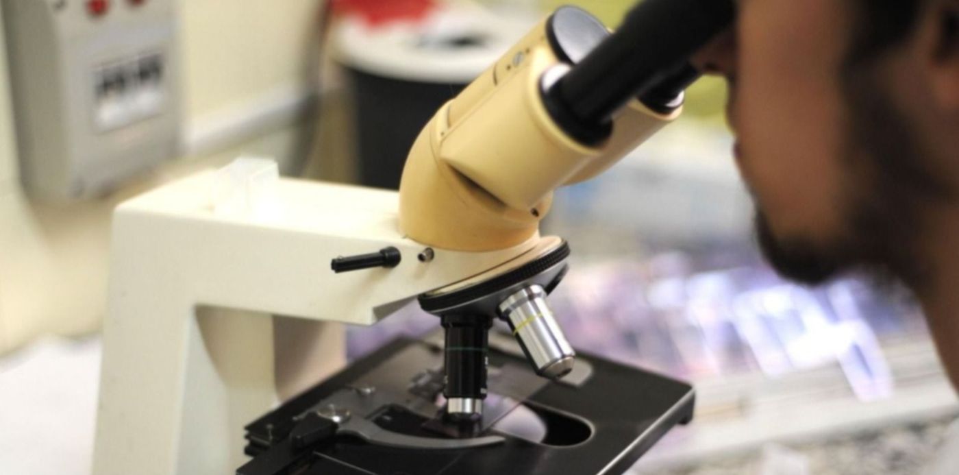 1663928892101.jpg?x= 13&y=3&width=1519&height=760&rotate=0&scaleX=1&scaleY=1&ow=1500&oh=998&&cw=1920&ch=950