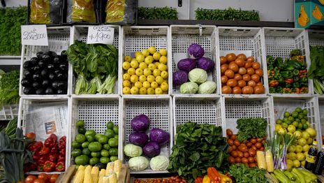 La canasta alimentaria de La Plata aumentó 2,1% en mayo y acumuló una suba anual del 32,1% La canasta alimentaria de La Plata aumentó 2,1% en mayo y acumuló una suba anual del 32,1%